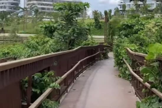 Viral Kondisi Terkini IKN Diduga Tak Terawat hingga Dipenuhi Ilalang. (Foto: Instagram/@akhwatriau1945_official)