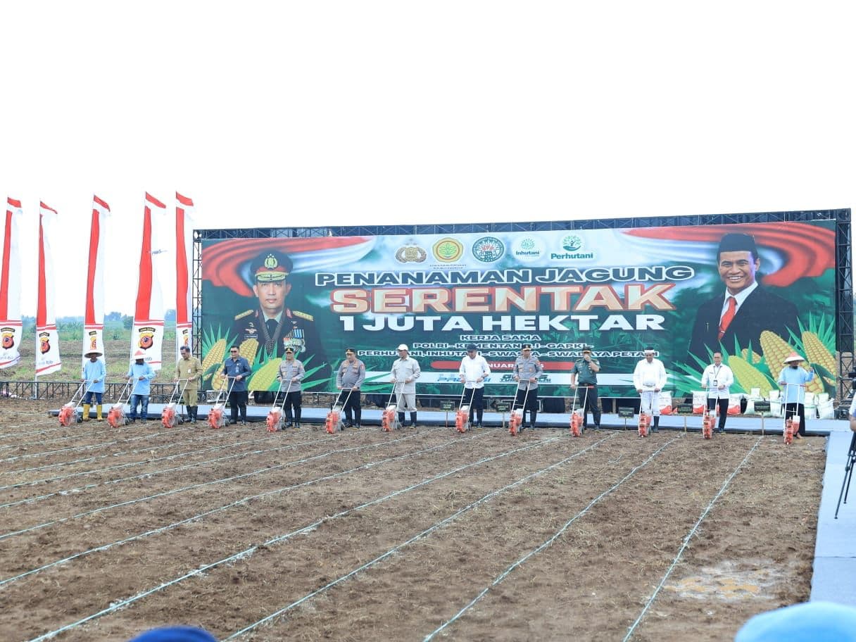 Penanaman jagung 1 juta hektare oleh Polri dan Kementerian Pertanian (Foto: