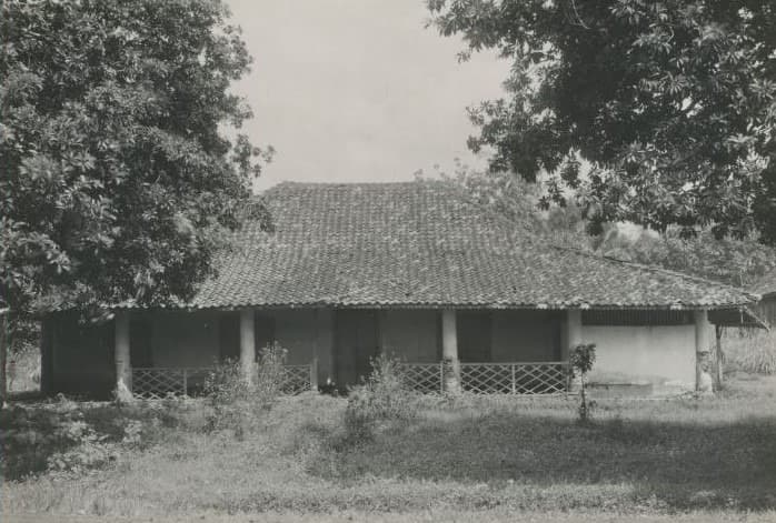 Foto: digitalcollections.universiteitleiden.nl