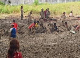 Warga Asahan Gali Mangga Ilegal yang Dimusnahkan Bea Cukai (Foto:Istimewa)