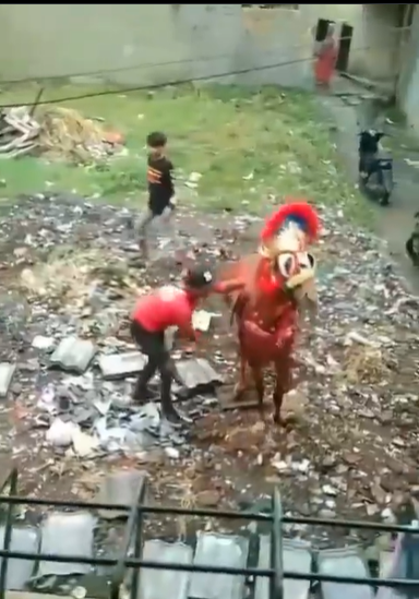Miris! Viral Seekor Kuda Disiksa Dipukul Kayu Berkali-kali oleh Pria di Cimahi, Warganet: Malu Nyari Duit Pake Tenaga Hewan