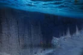 viral Tembok Raksasa di Bawah Laut Papua (Foto:Istimewa)