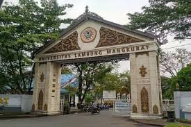 Universitas Lambung Mangkurat (Foto:Istimewa)