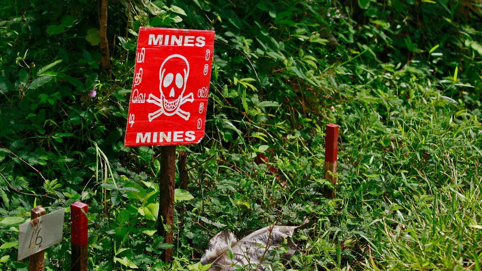 Tiga Tentara Thailand Dimangsa Ranjau Kamboja