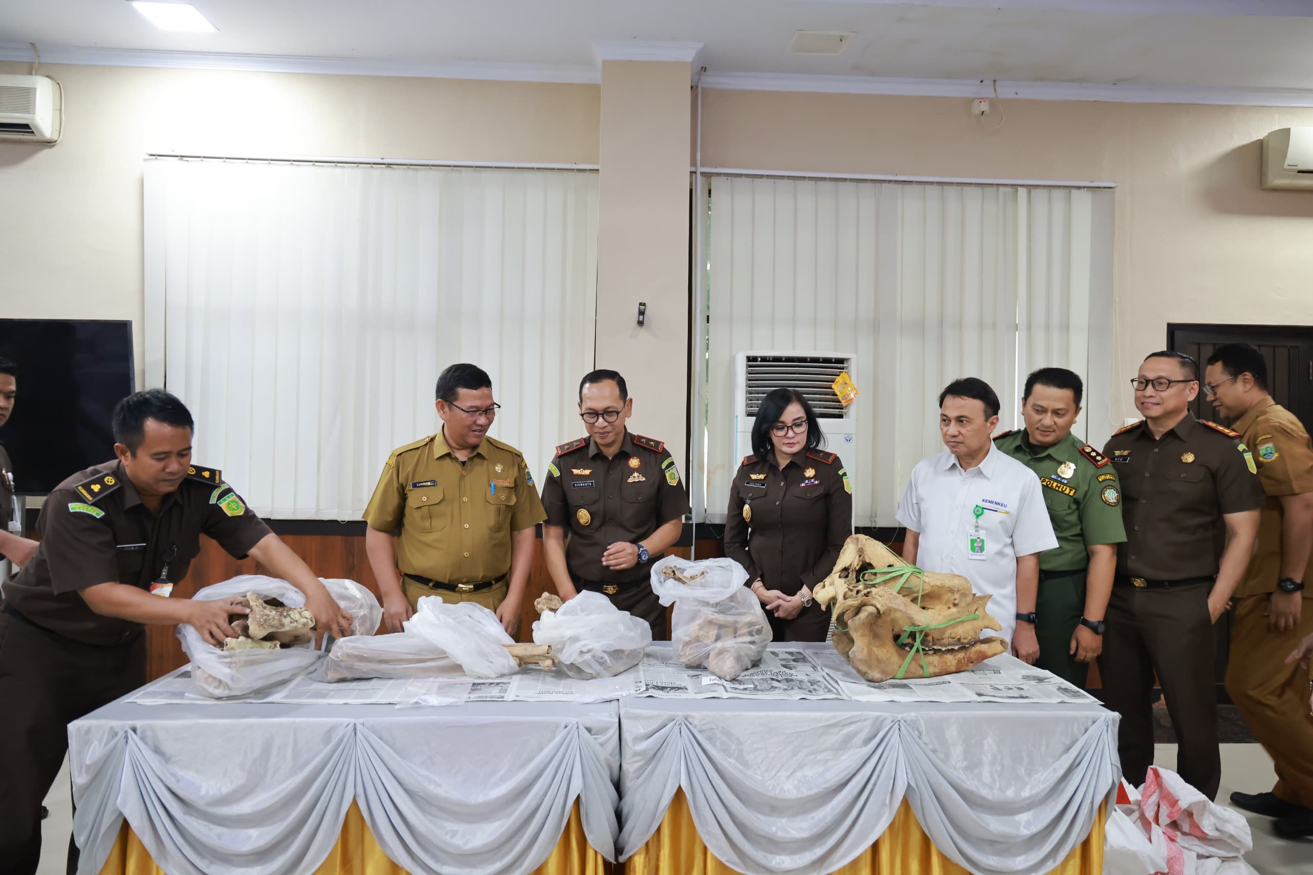Kejati Banten Serahkan 2 Tengkorak Badak Jawa Hasil Sitaan Kasus Perburuan ke Balai TNUK