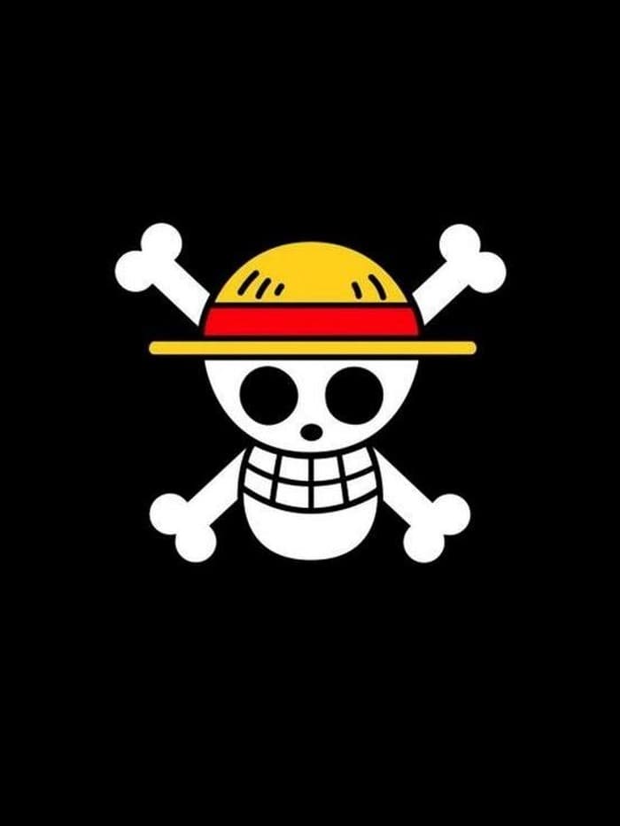 Bendera One Piece (Foto:Istimewa)