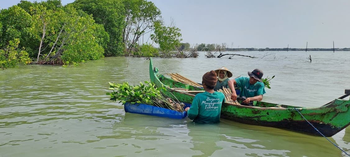 Hari Hutan Indonesia 2025: Krisis Iklim, Banjir Rob, dan Hutan yang Kian Menghilang.