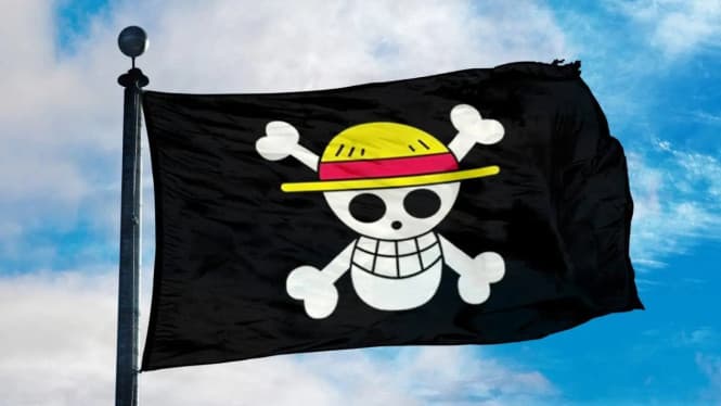 Bendera One Piece (Foto:Istimewa)