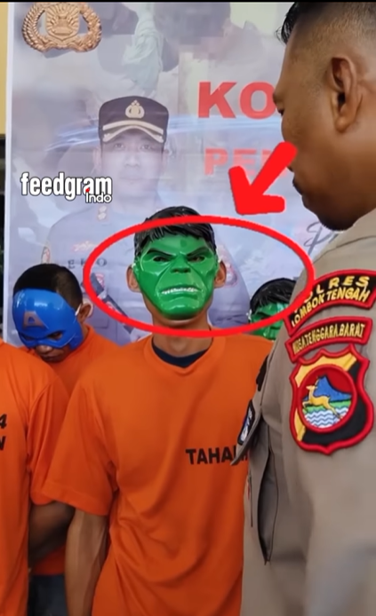 IG @feedgramindo