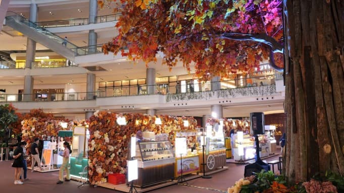 Autumn Foliage PIK Avenue