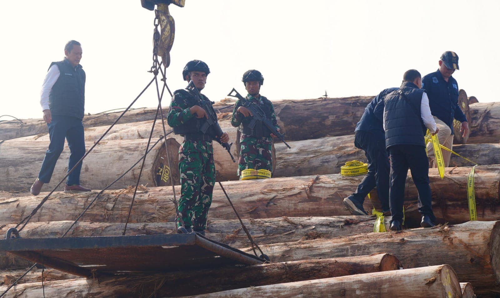 Kayu meranti hasil pembalakan liar di Hutan Sipora, Kepulauan Mentawai (Foto: Istimewa)