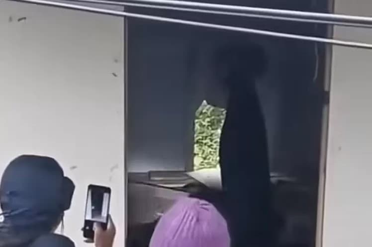 Viral! Kronologi Penemuan Mayat Tinggal Kerangka dengan Posisi Duduk di Gubuk Kosong Cibatu Garut