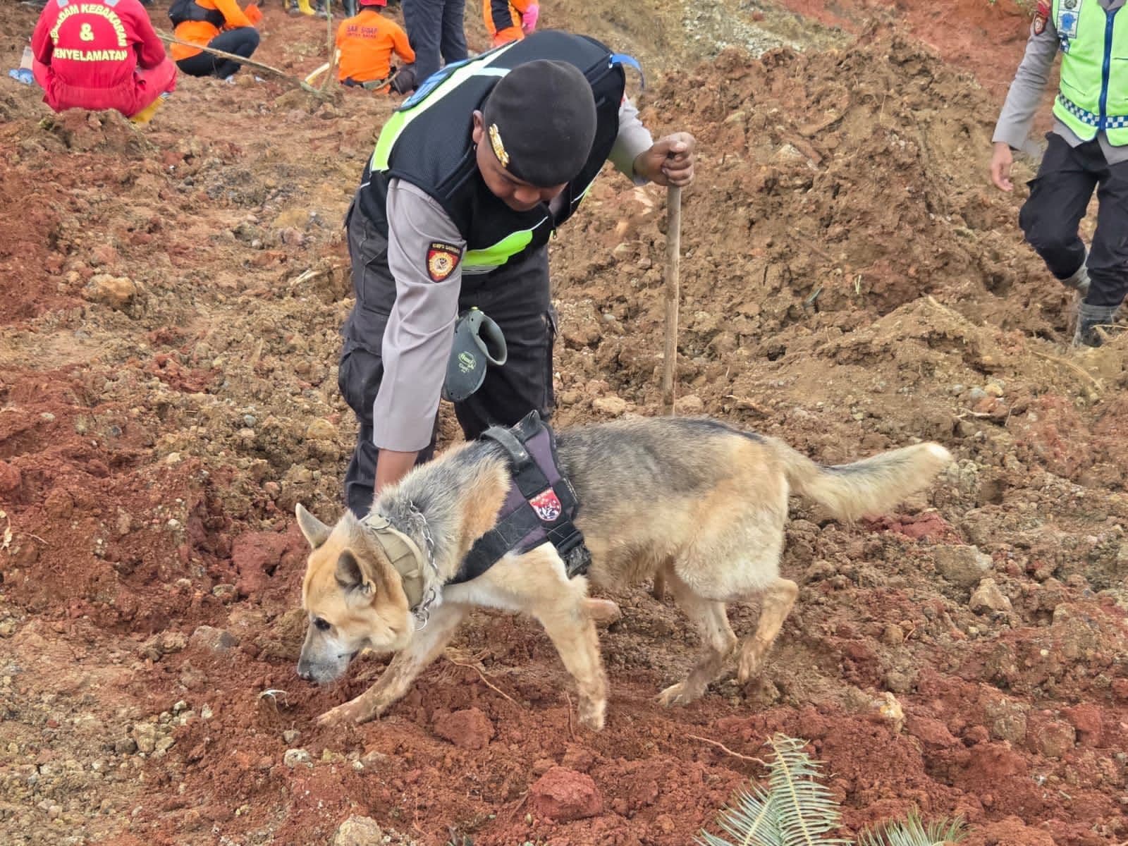 Polri Kerahkan Anjing Pelacak Cari Korban Tanah Longsor di Cilacap