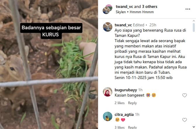 Viral Puluhan Rusa di Taman Kapur Kurus Kering Tak Terawat, Warganet Desak Kembalikan ke Habitat Asal