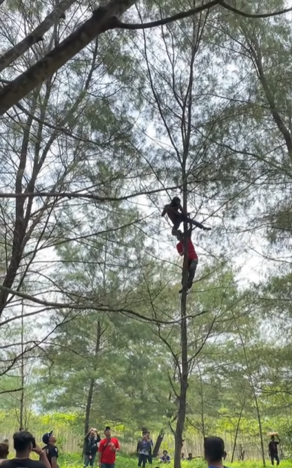Viral Warga di Kebumen Evakuasi Pria Mabuk yang Tidur di Pohon, Berujung Dilempar ke Air