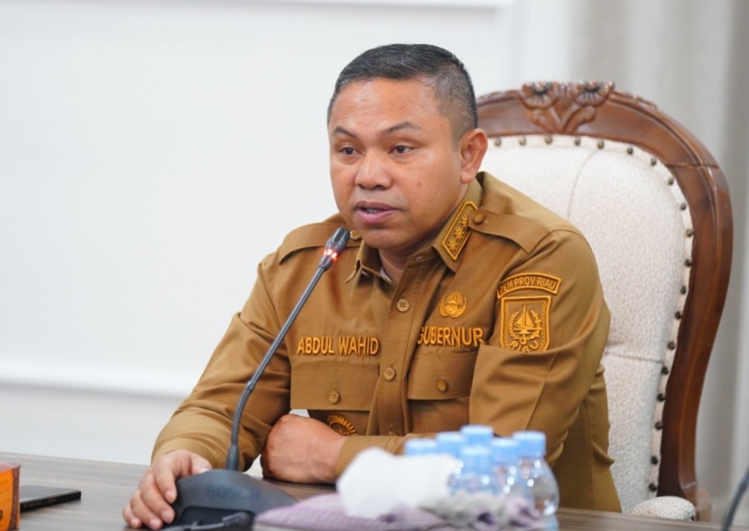 Gubernur Riau, Abdul Wahid (Foto: Istimewa)