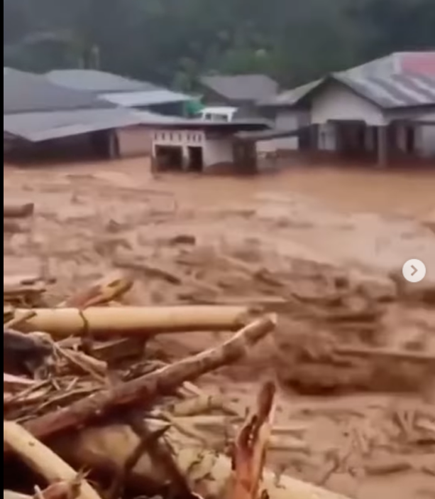 Viral Video Gelondongan Kayu Terbawa Arus Banjir di Tapanuli, Warganet Ngamuk