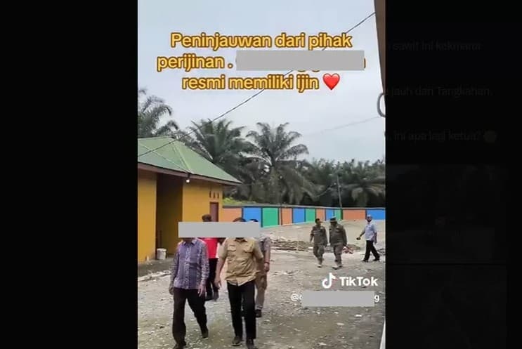 Geger Temuan Diskotik untuk Dugem di Tengah Kebun Sawit Dekat Konservasi Gajah Tangkahan, Warganet Syok! Diduga Punya Izin Resmi