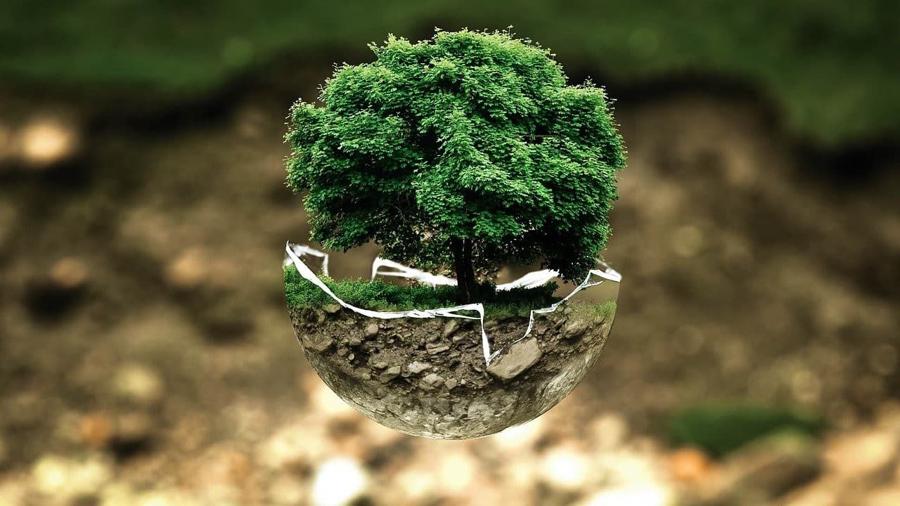 Ilustrasi lingkungan hidup (Foto: istimewa) Ilustrasi lingkungan hidup (Foto: istimewa)