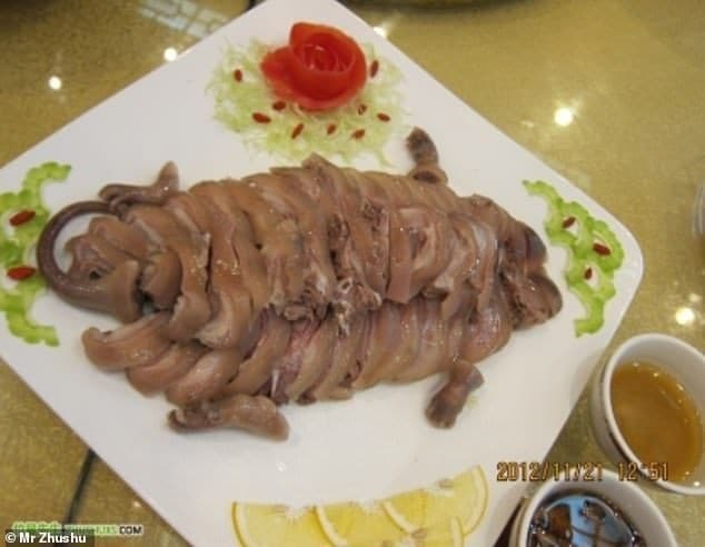 Tikus Bambu Musnah, Dulu Hidangan Nikmat dengan Harga Selangit (Foto: Istimewa) Tikus Bambu Musnah, Dulu Hidangan Nikmat dengan Harga Selangit (Foto: Istimewa)