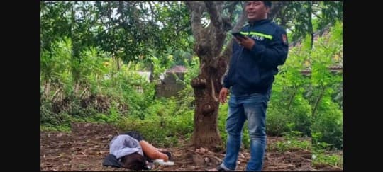 Viral bule Rusia ditemukan tergeletak di kandang sapi di Bali. Viral bule Rusia ditemukan tergeletak di kandang sapi di Bali.