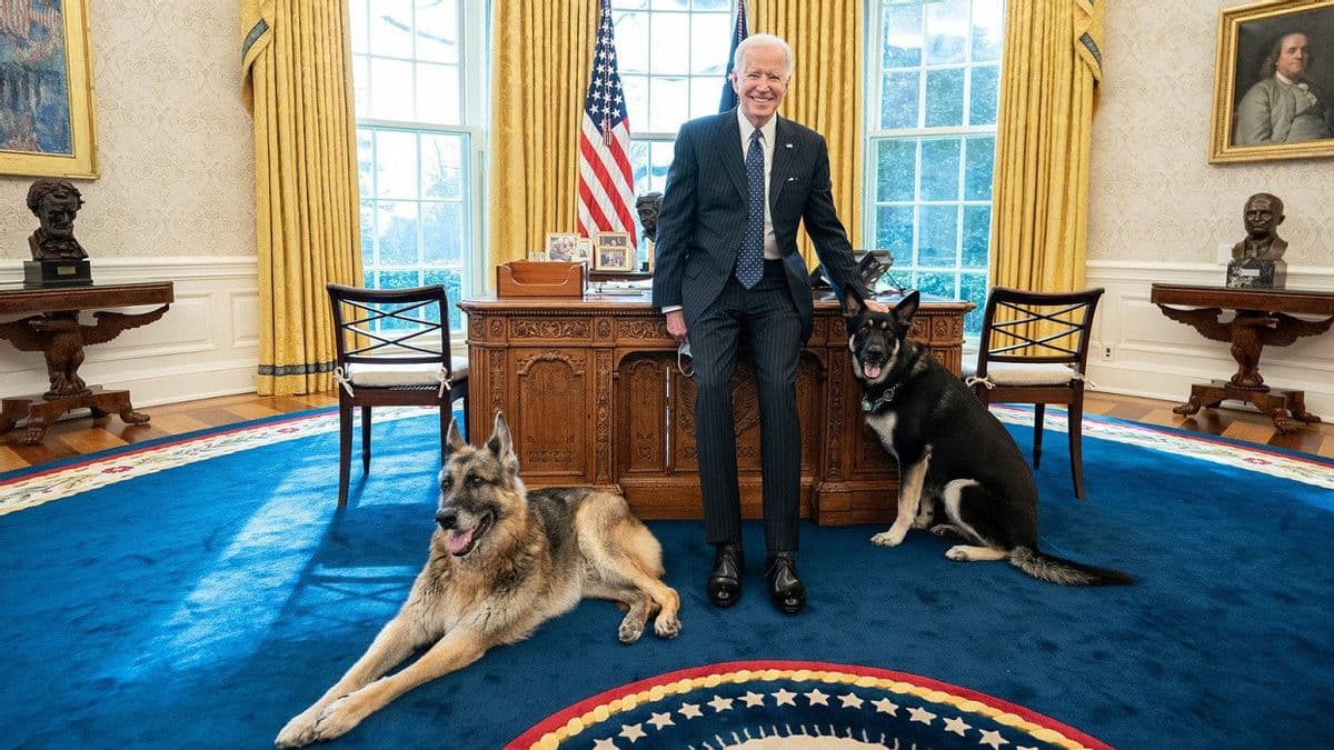 Presiden Joe Biden bersama kedua anjingnya di dalam Gedung Putih. (Wikimedia Commons/The White House) Presiden Joe Biden bersama kedua anjingnya di dalam Gedung Putih. (Wikimedia Commons/The White House)