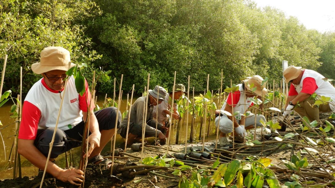 Aksi penanaman 1.000 mangrove di Pantai Mangunharjo, Semarang. Aksi penanaman 1.000 mangrove di Pantai Mangunharjo, Semarang.