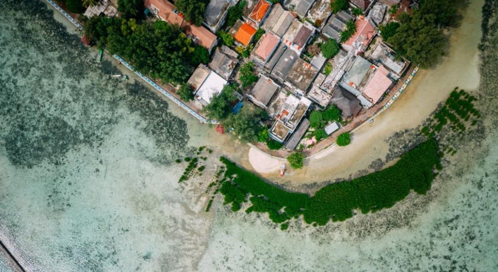 Kolaborasi LindungiHutan dan Smiling Coral Indonesia Hadirkan Harapan Baru untuk Lautan. Kolaborasi LindungiHutan dan Smiling Coral Indonesia Hadirkan Harapan Baru untuk Lautan.