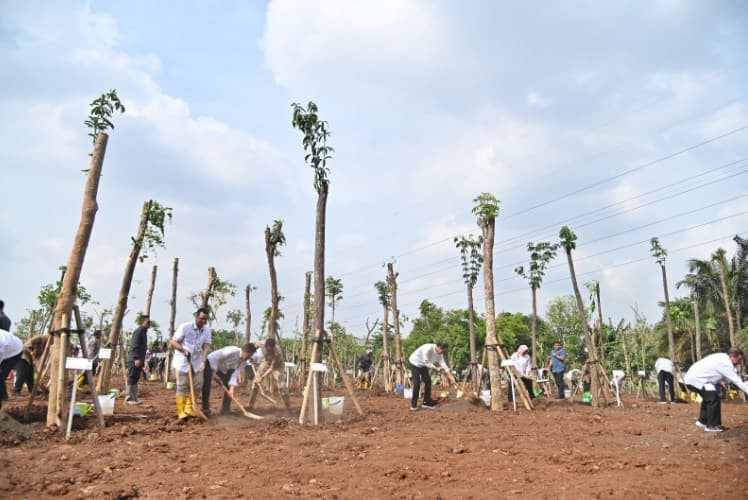 Sinar Mas melalui Sinar Mas Land dan Sinar Mas Agribusiness & Food menanam ratusan pohon di sejumlah lokasi di Jabodetabek dalam rangka memperingati Hari Penanaman Pohon Sedunia (28/11). (Foto: Biro Pers Setpres) Sinar Mas melalui Sinar Mas Land dan Sinar Mas Agribusiness & Food menanam ratusan pohon di sejumlah lokasi di Jabodetabek dalam rangka memperingati Hari Penanaman Pohon Sedunia (28/11). (Foto: Biro Pers Setpres)