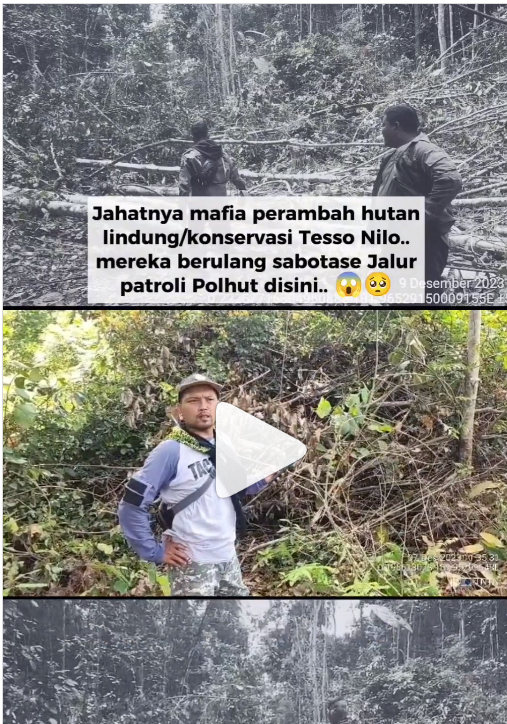 dari Instagram btn_tessonilo dari Instagram btn_tessonilo