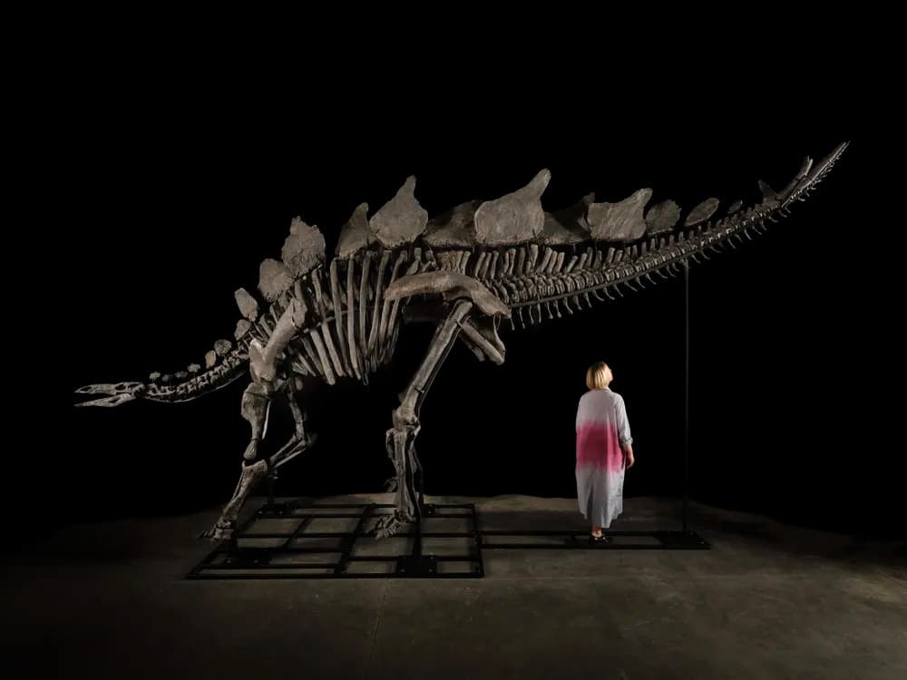 Foto: smithsonianmag.com Foto: smithsonianmag.com