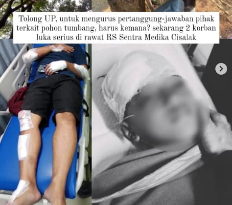 Satu Keluarga Tertimpa Pohon Tumbang di Jalan Raya Bogor. (Foto: @infodepok_id) Satu Keluarga Tertimpa Pohon Tumbang di Jalan Raya Bogor. (Foto: @infodepok_id)