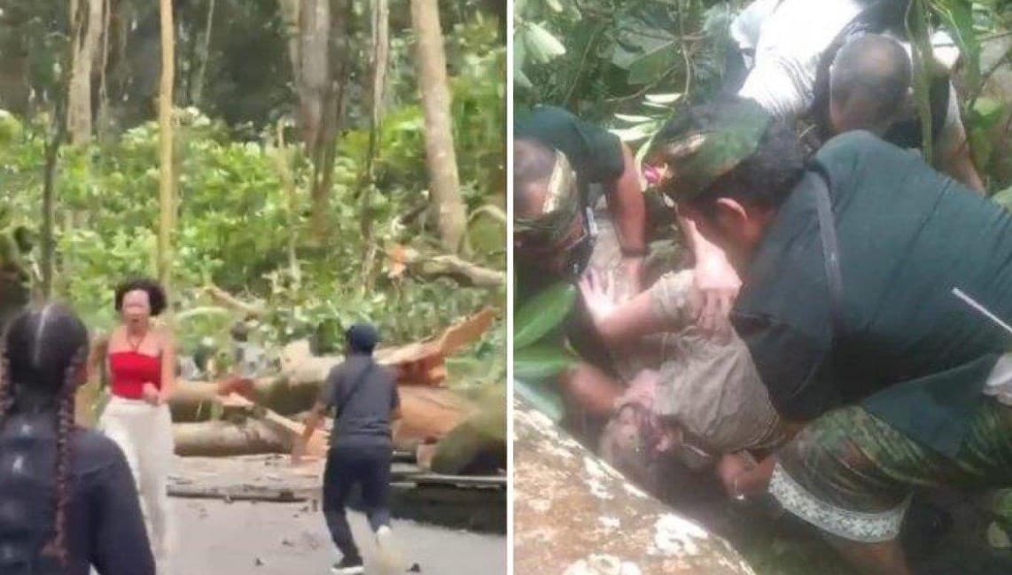 Detik-detik Pohon Raksasa Tumbang di Monkey Forest Ubud Bali, 2 Turis Asing Tewas Tertimpa. Detik-detik Pohon Raksasa Tumbang di Monkey Forest Ubud Bali, 2 Turis Asing Tewas Tertimpa.