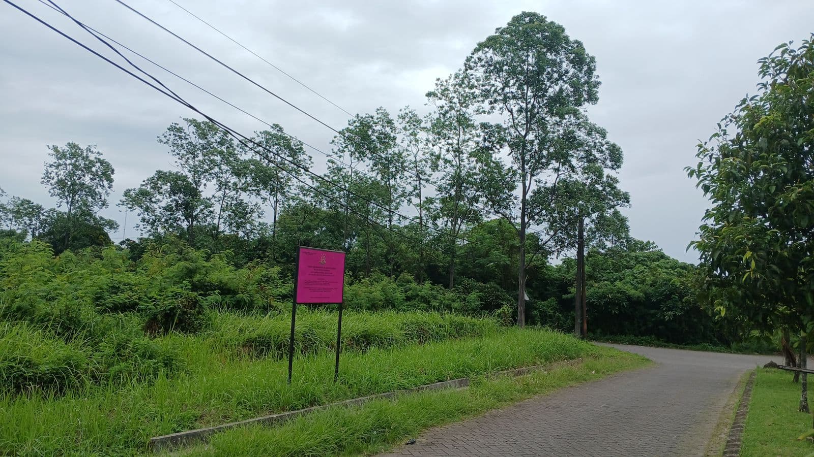 Tanah milik Terpidana Korupsi Benny Tjokrosaputro di Cikupa, Kabupaten Tangerang (Foto: Kejaksaan) Tanah milik Terpidana Korupsi Benny Tjokrosaputro di Cikupa, Kabupaten Tangerang (Foto: Kejaksaan)
