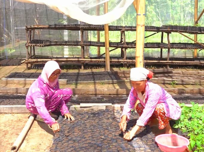 MIND ID Bina Lebih dari 10.000 UMKM untuk Perkuat Ekonomi Lokal dan Tekan Kemiskinan. MIND ID Bina Lebih dari 10.000 UMKM untuk Perkuat Ekonomi Lokal dan Tekan Kemiskinan.