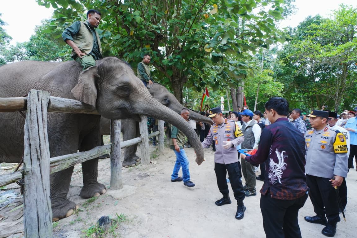 Kapolri Jenderal Listyo Sigit Prabowo di Taman Nasional Tesso Nilo, Riau (Foto: Polri) Kapolri Jenderal Listyo Sigit Prabowo di Taman Nasional Tesso Nilo, Riau (Foto: Polri)