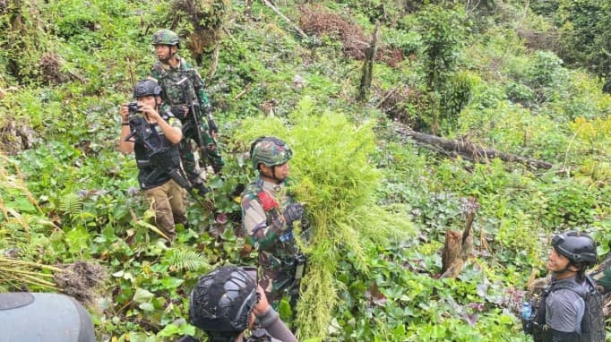 Jenderal Lucky Avianto Turun Gunung Hancurkan Ladang Ganja di Pedalaman Rimba Pasca "Dilegalkan" OPM Papua. Jenderal Lucky Avianto Turun Gunung Hancurkan Ladang Ganja di Pedalaman Rimba Pasca "Dilegalkan" OPM Papua.
