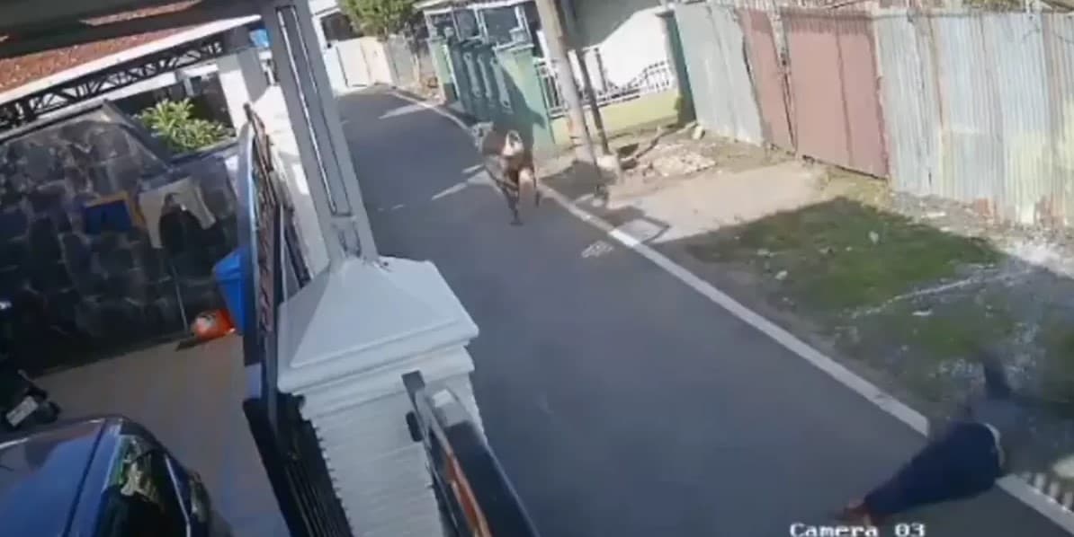 Viral Pria di Banjarmasin Tewas Secara Tragis, Terseret Sapi Kurban yang Lepas. (Foto: Twitter @bacottetangga) Viral Pria di Banjarmasin Tewas Secara Tragis, Terseret Sapi Kurban yang Lepas. (Foto: Twitter @bacottetangga)