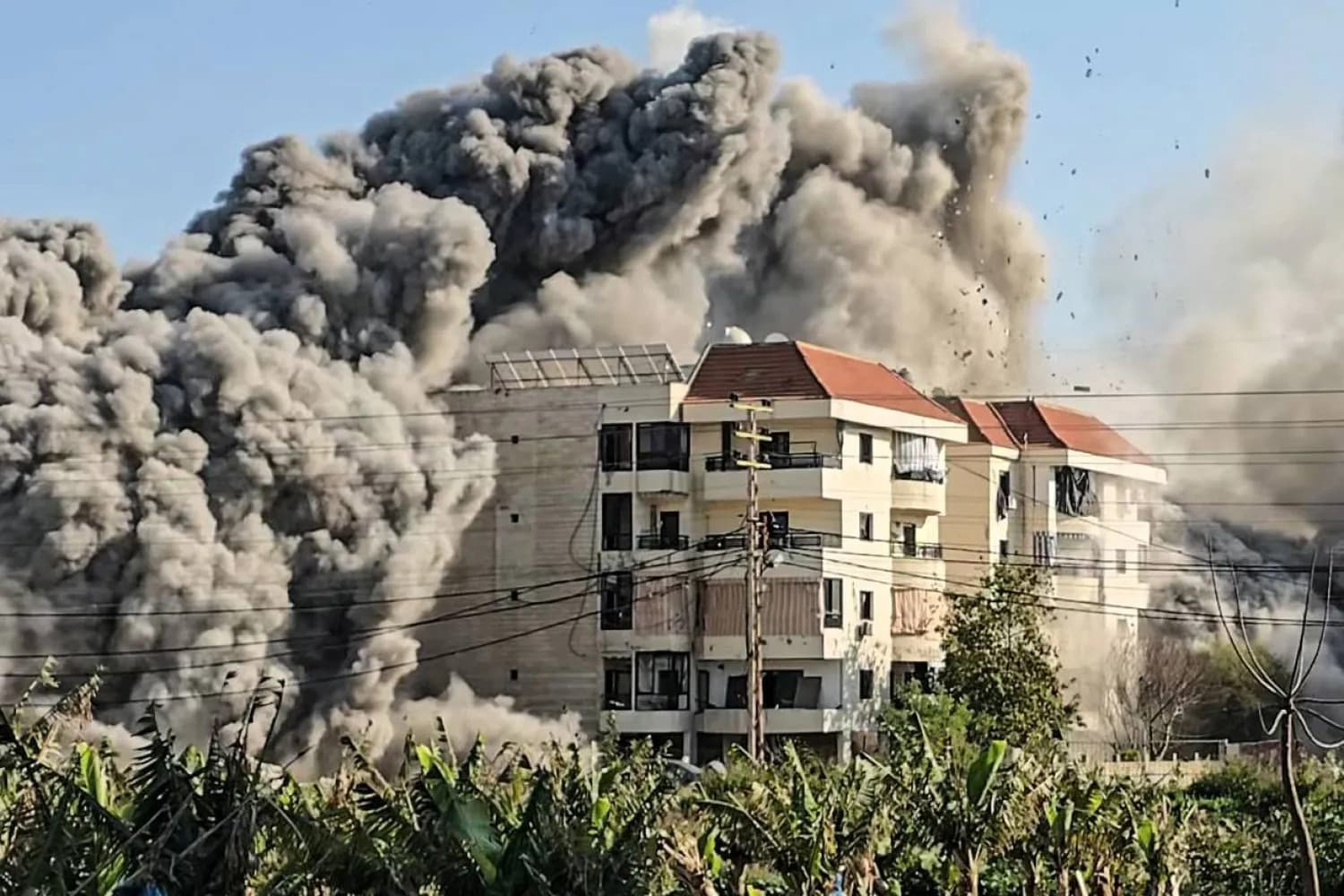 Foto: Asharq al Awsat Foto: Asharq al Awsat